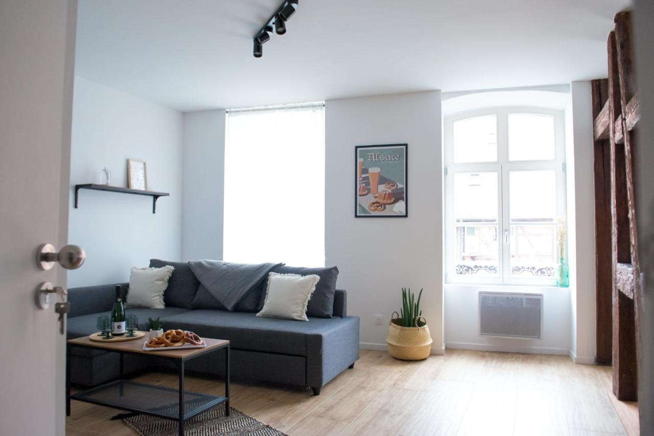 La Pomme Du President I Apartment Selestat Exterior photo